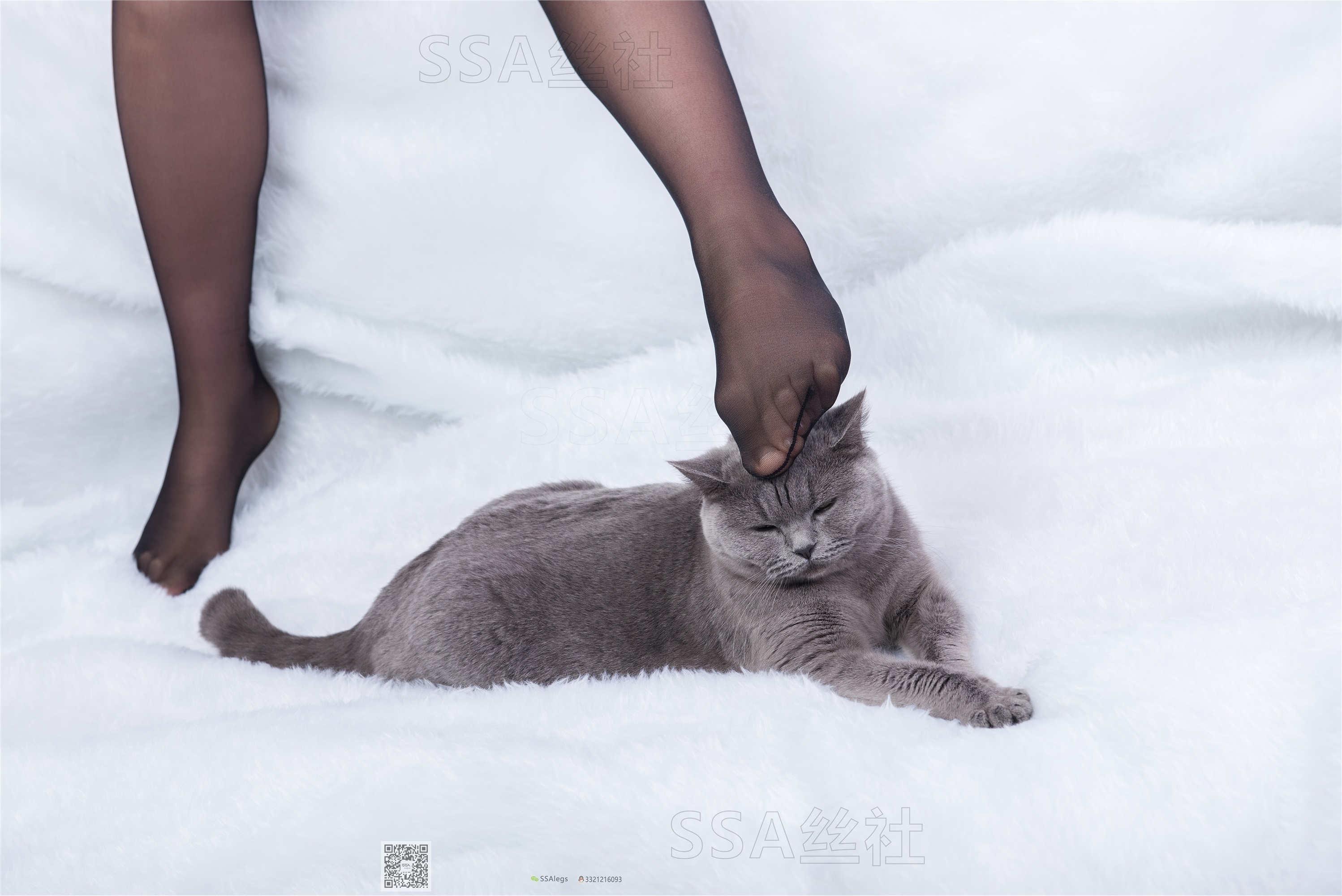 SSA丝社 超清写真 NO.069 云云 复古旗袍黑丝穿搭示范